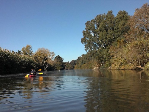 kayak-río-palmones