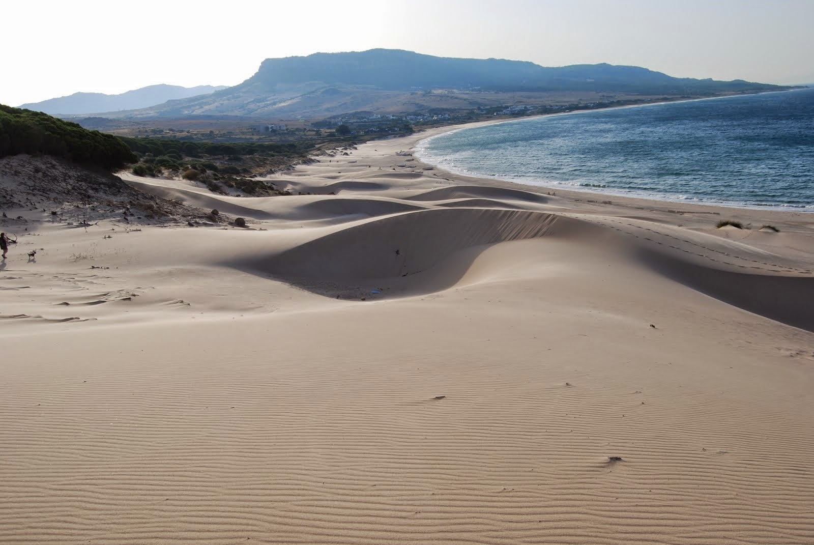 playa de bolonia